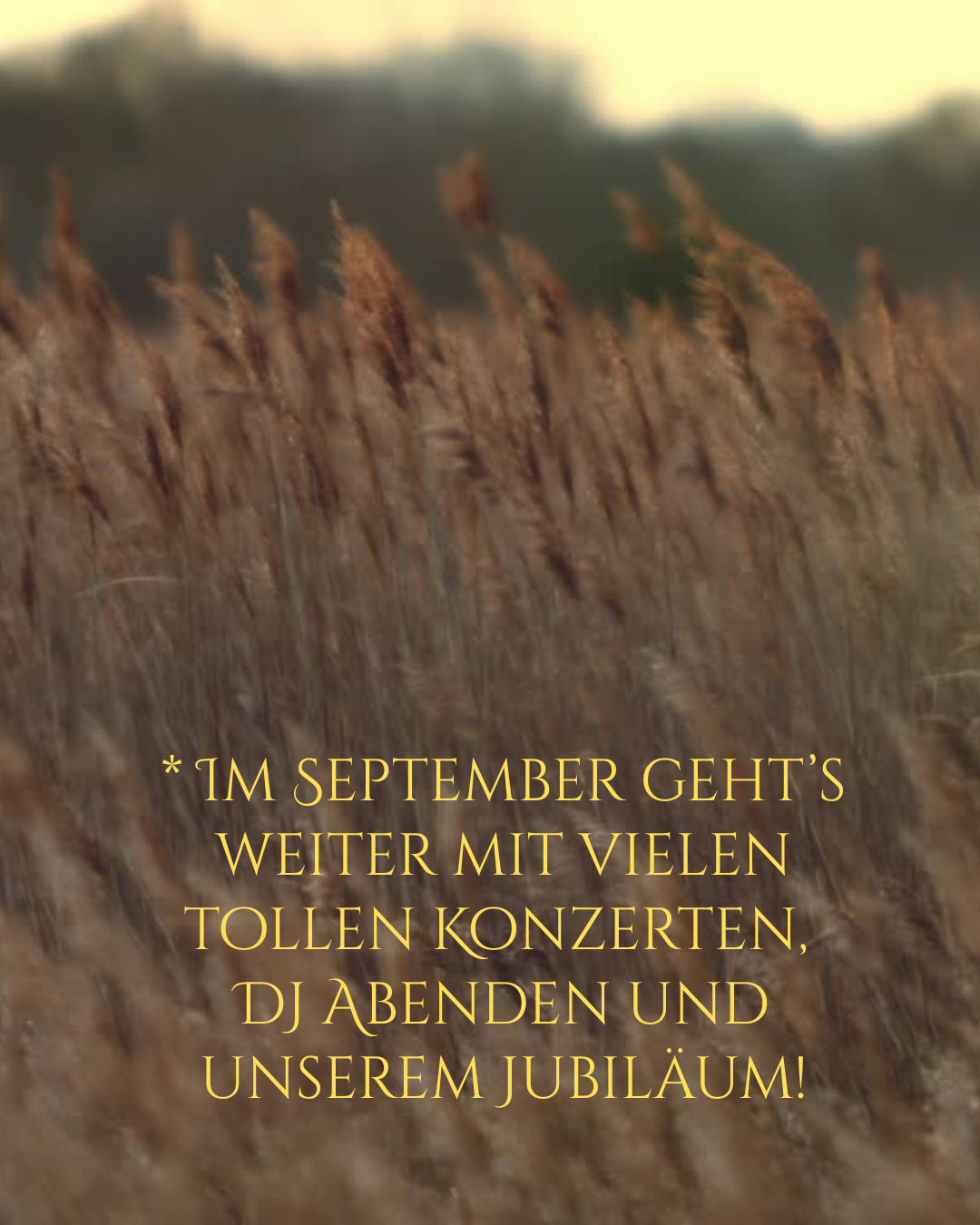 Dein Abschnittstext (4)